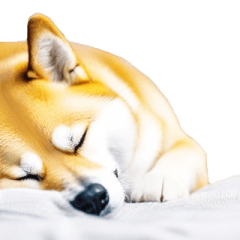 Shiba Inu Sticker: GM and GN