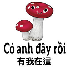 Vietnam Cute Mushroom Baby2