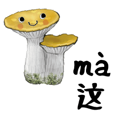 Vietnam Cute Mushroom Baby7