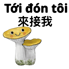 Vietnam Cute Mushroom Baby1