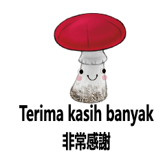 Cute Mushroom Baby Indonesia4