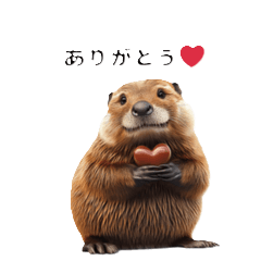 A Beaver with a Human Touch