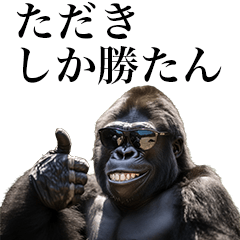 [Tadaki] Funny Gorilla stamps to send