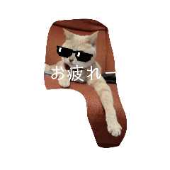 chinmel_20240820220630