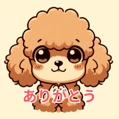 Overjoyed Toy Poodle