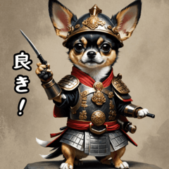 战国武将犬