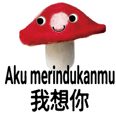 Cute Mushroom Baby Indonesia7