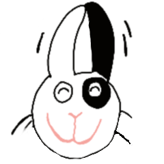 taiwan rabbit