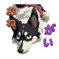 attsu_20240821113411