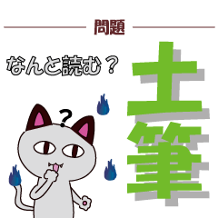 Ghost Cat Quiz