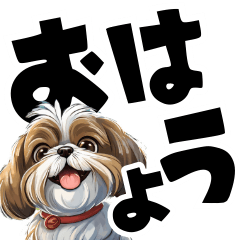 Cute Shih Tzu big letters