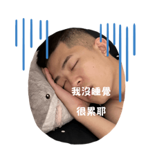 樹葉楓的日常：（