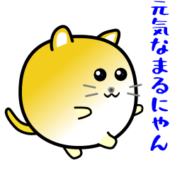 nobobi cheerful round cat