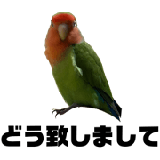 Itoyay_20240821154057