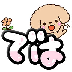 Toy poodle apricot9