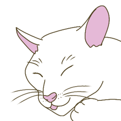 The white cat and pointeds