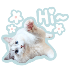 Baby stickers56