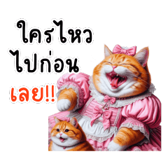 Fancy dress: cute chubby orange cat V1