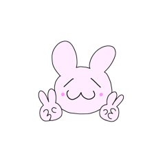 Rabbit_20240822143401