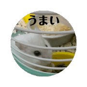 sasami_20240823083238