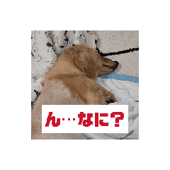 U-JIN_20240822154441