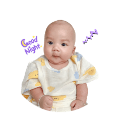 Plashalarm_20240822210124