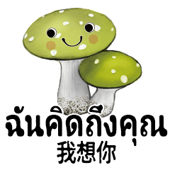 Thailand Cute Mushroom Baby 5