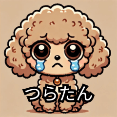 Tearful Toy Poodle