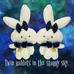 Twin rabbits in the starry sky.