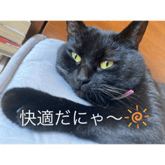 rukina_20240822212301