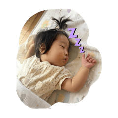 hanaruri_20240822211429