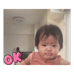 shimaro_20240823130408