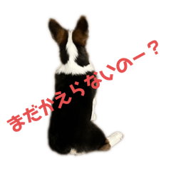 reeeo_20240822210311