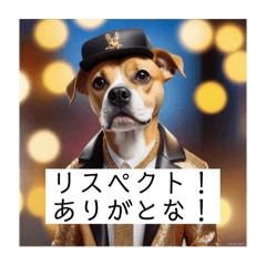 犬がかますラップをどうぞ！