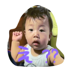 Kinaco_20240822011526