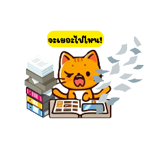 Working Cat_1