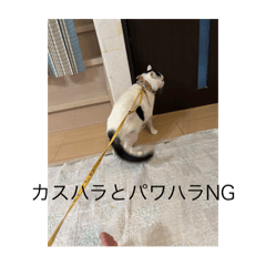 akusizu0122_20240823205105