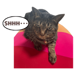ゆずねこスタンプ2