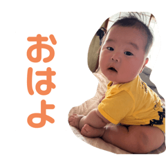 sak_20240823234742