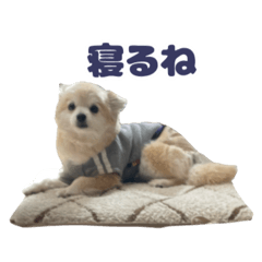 ゆめいぬスタンプ1