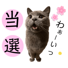 achi_20240824181805