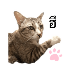 Princess Fufi : Upsets – LINE stickers | LINE STORE