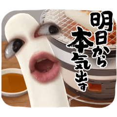 DewDew_20240824