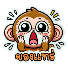 Pongsakorn Saeaueng_20240824215520