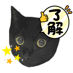 kichi_20240824