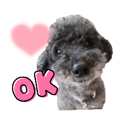 mami to kokowa_20240824104233