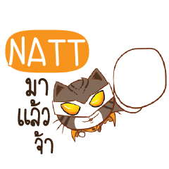 NATT Piakpoon man e