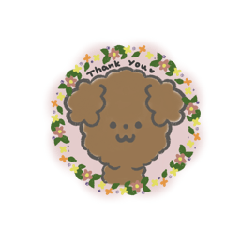 Fluffy brown toy poodlechan