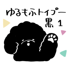 fluffy toy poodle black 1