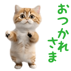 dance! dancing cat 3